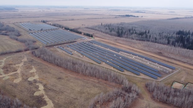 A gift from the sun: Métis Nation of Alberta solar farm could power 1,200 homes